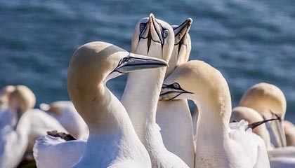 伴游景点的魅力